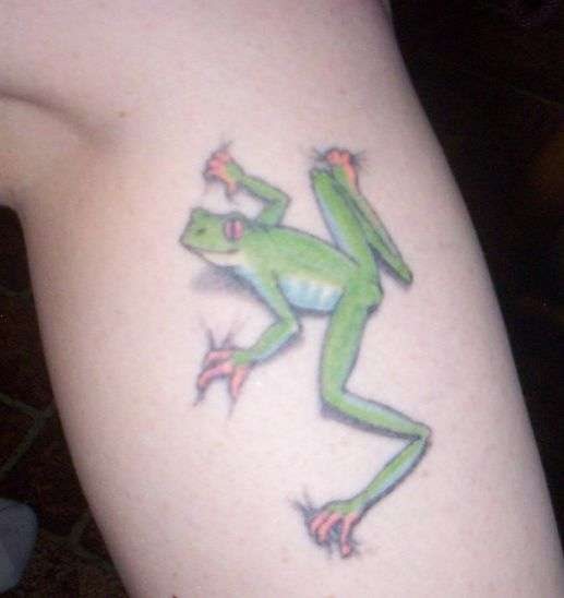 tatouage grenouille 1024