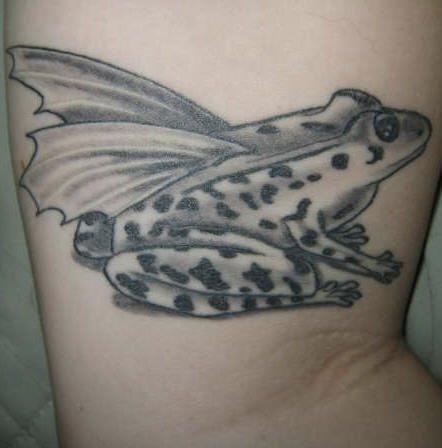 tatouage grenouille 1028