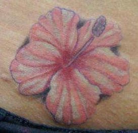 tatouage fleur hibiscus 1022