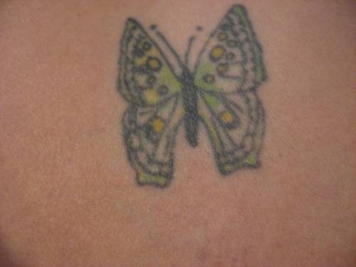 tatouage papillon 1060