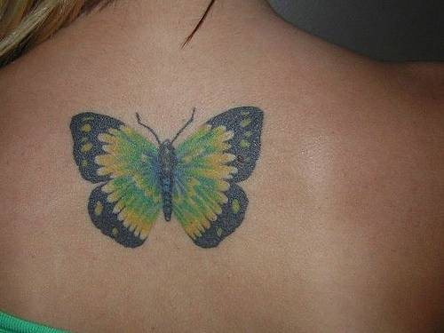 tatouage papillon 1072