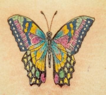 tatouage papillon 1010