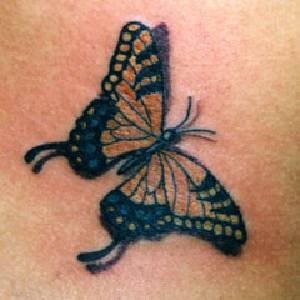 tatouage papillon 1026