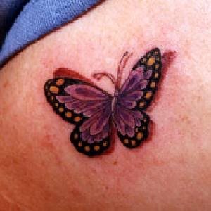 tatouage papillon 1034