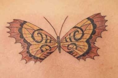 tatouage papillon 1036
