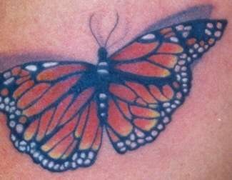 tatouage papillon 1038