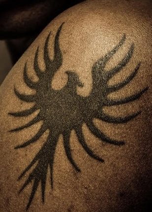 tatouage phoenix 1000