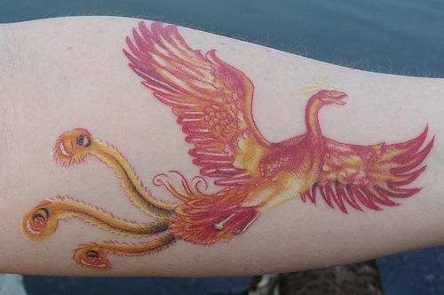 tatouage phoenix 1036