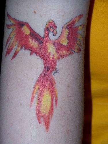 tatouage phoenix 1051