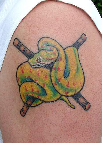 tatouage reptile 1060