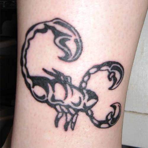 tatouage reptile 1062