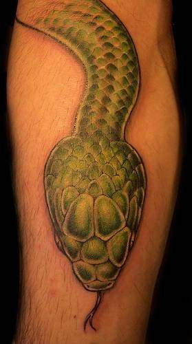 tatouage reptile 1072