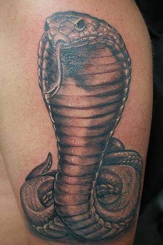 tatouage reptile 1073