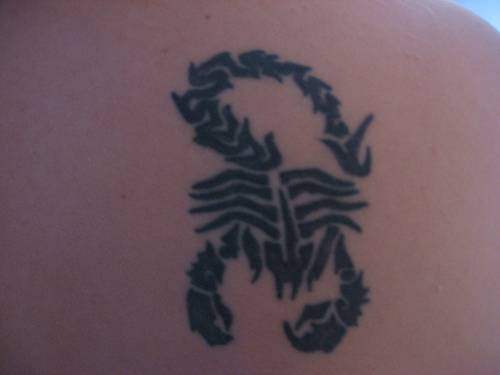 tatouage reptile 1082