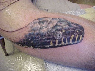 tatouage reptile 1013