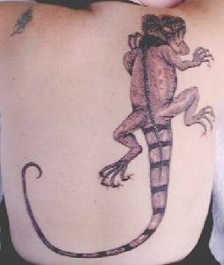 tatouage reptile 1023