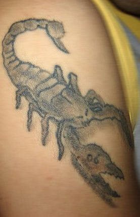 tatouage scorpion 1060