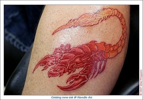 tatouage scorpion 1116