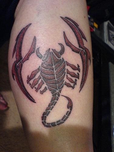 tatouage scorpion 1131