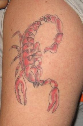tatouage scorpion 1100
