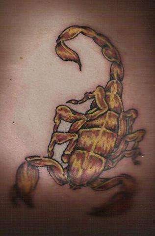 tatouage scorpion 1014