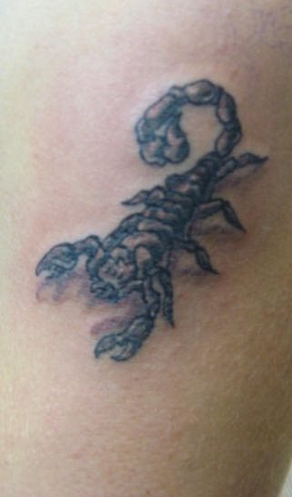 tatouage scorpion 1024