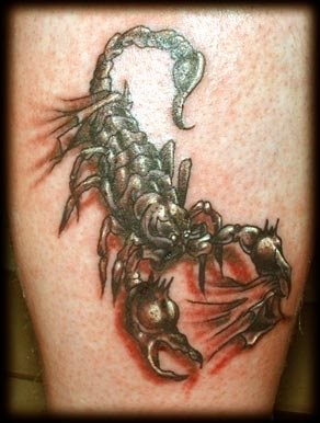 tatouage scorpion 1031