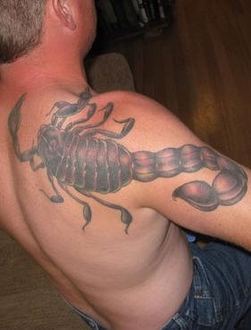 tatouage scorpion 1032