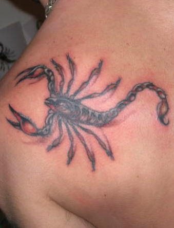 tatouage scorpion 1036
