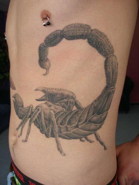 tatouage scorpion 1051
