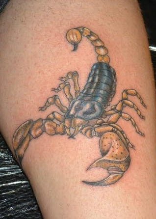 tatouage scorpion 1054