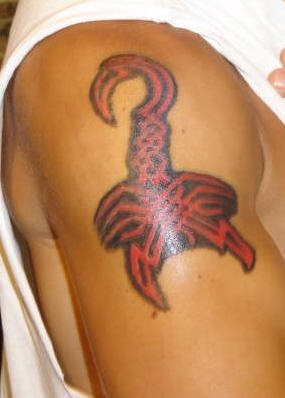 tatouage scorpion 1057