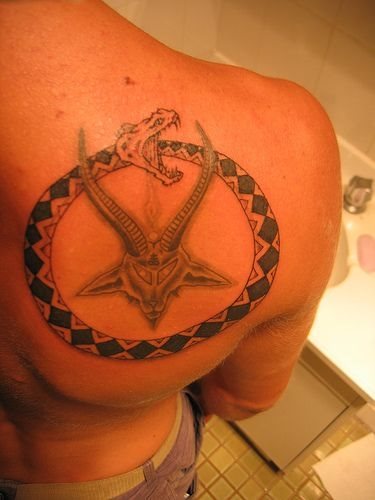 tatouage serpent 1051