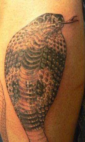 tatouage serpent 1058