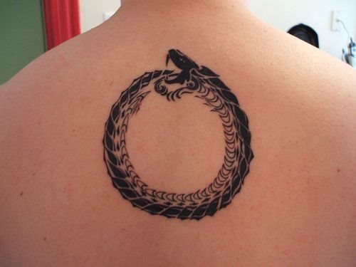 tatouage serpent 1066