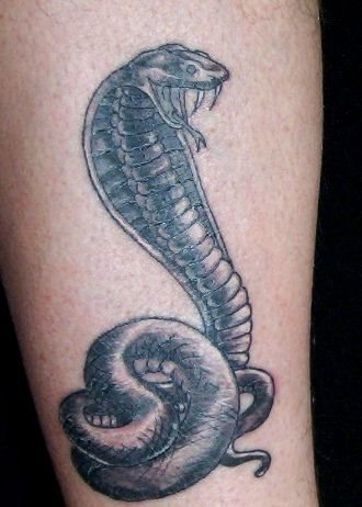 tatouage serpent 1076