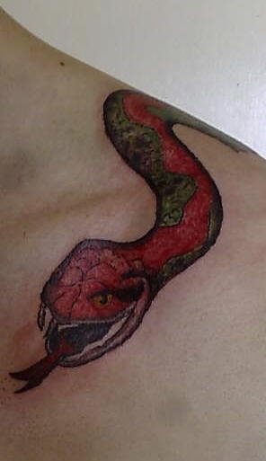 tatouage serpent 1084