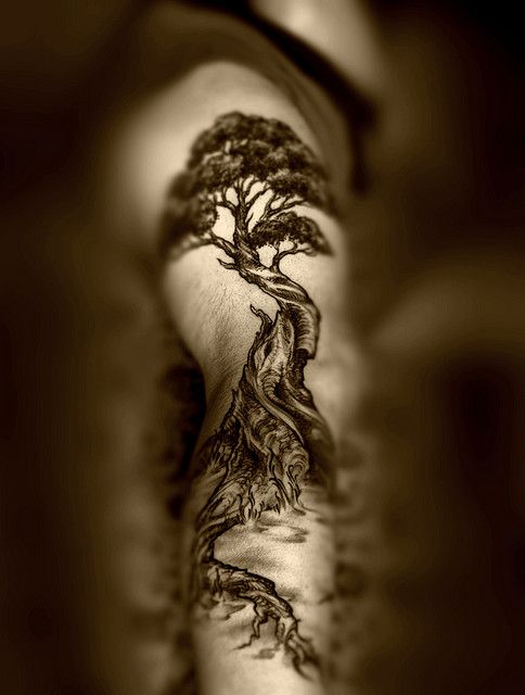 tatouage arbre 31