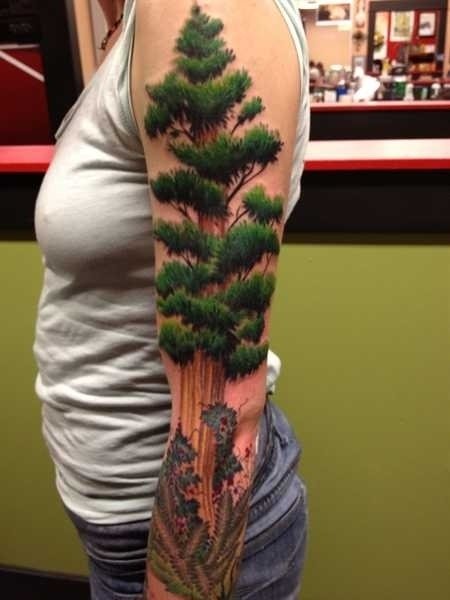 tatouage arbre 34