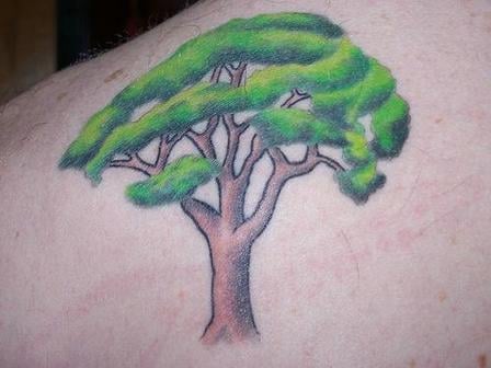 tatouage arbre 50