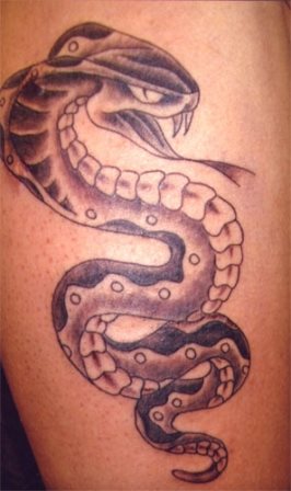tatouage cobra 17