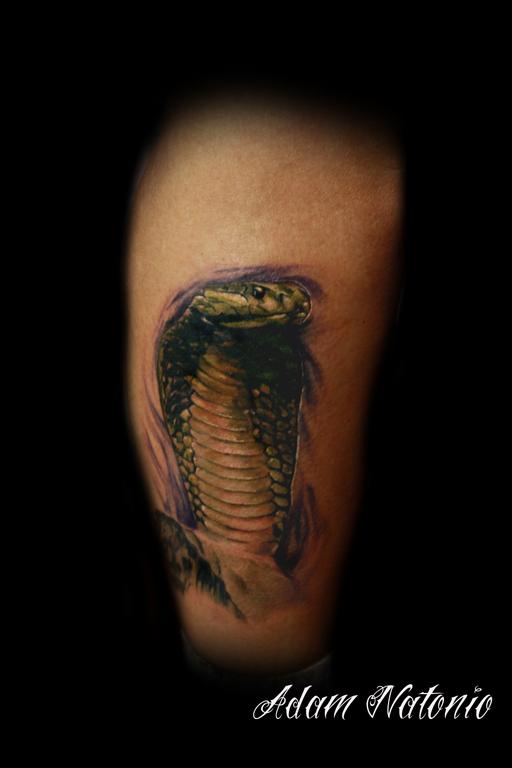tatouage cobra 18