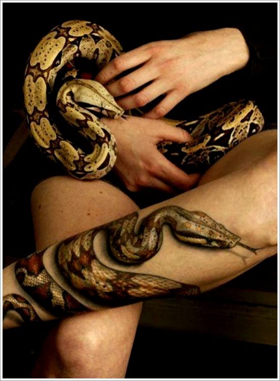 tatouage cobra 52