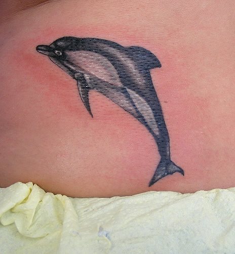 tatouage dauphin 10