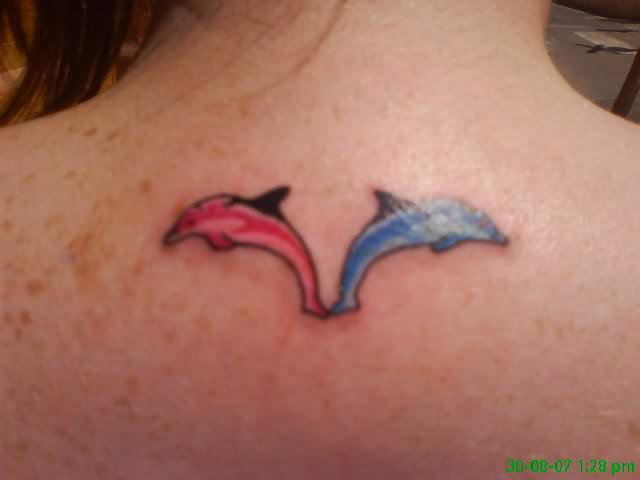 tatouage dauphin 15