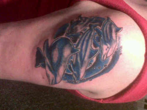 tatouage dauphin 49
