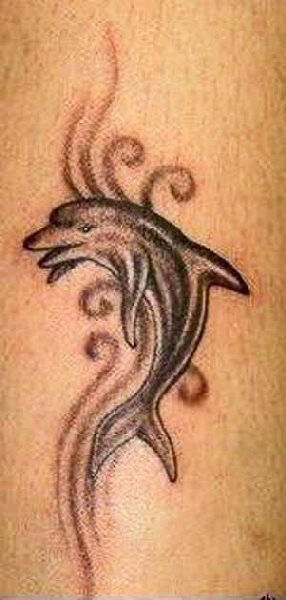 tatouage dauphin 61