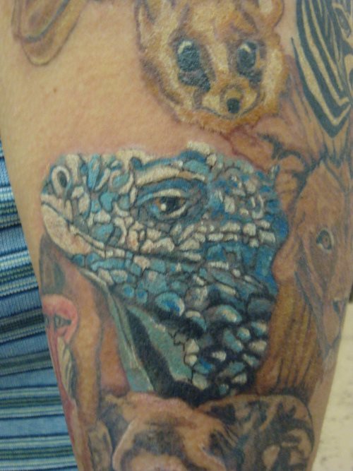 tatouage iguane 12