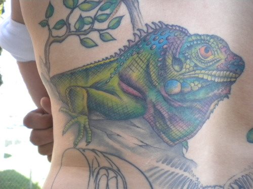 tatouage iguane 13