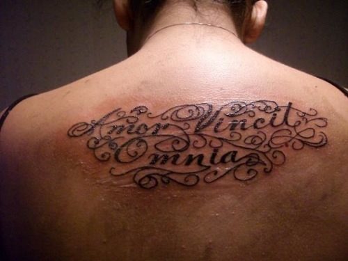 tatouage latin 14